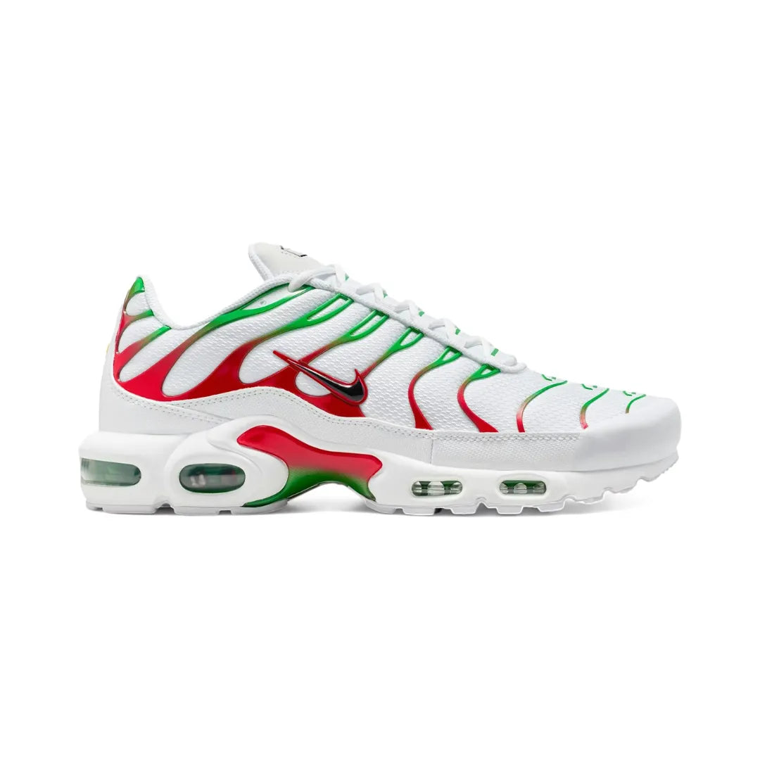 Nike Air Max Plus ”Italy”