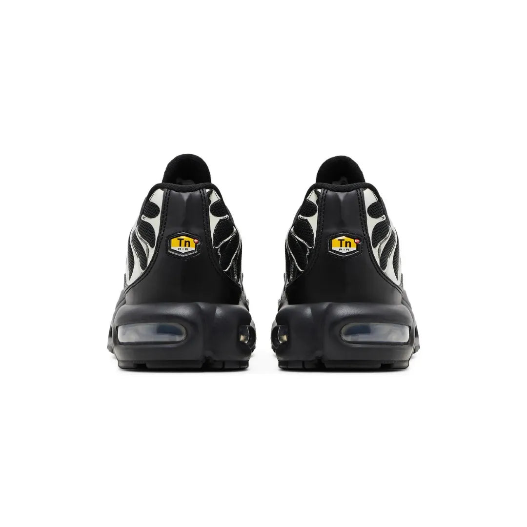 Nike Air Max Plus TN ”Black Chrome Silver”