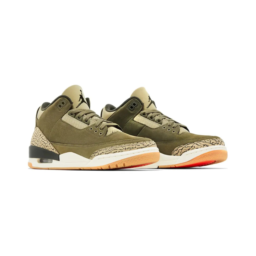 Nike-Air-Jordan-3-Retro-Family-Affair-DN3707-202-Brick-Sneakers