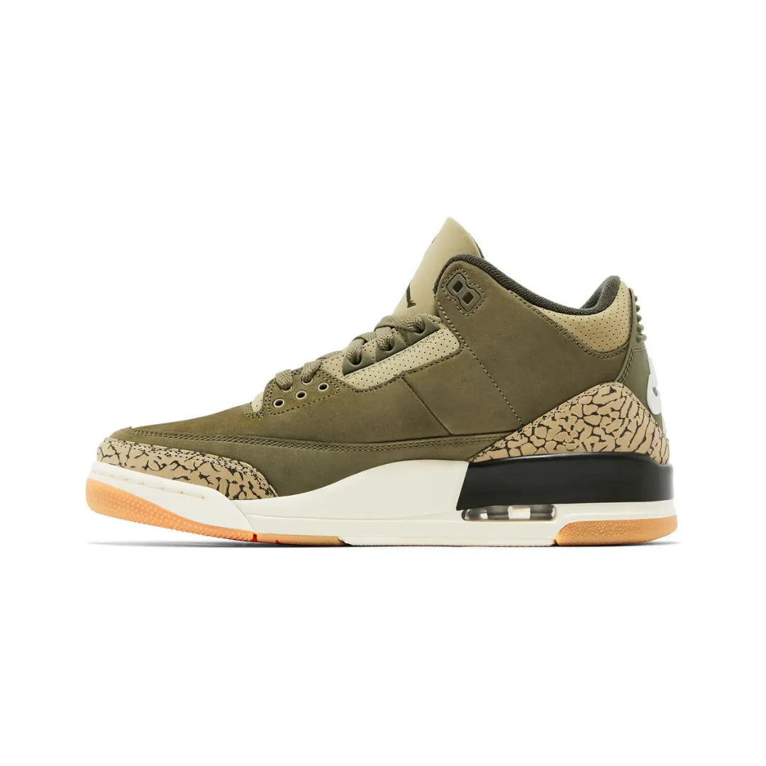 Nike-Air-Jordan-3-Retro-Family-Affair-DN3707-202-Brick-Sneakers