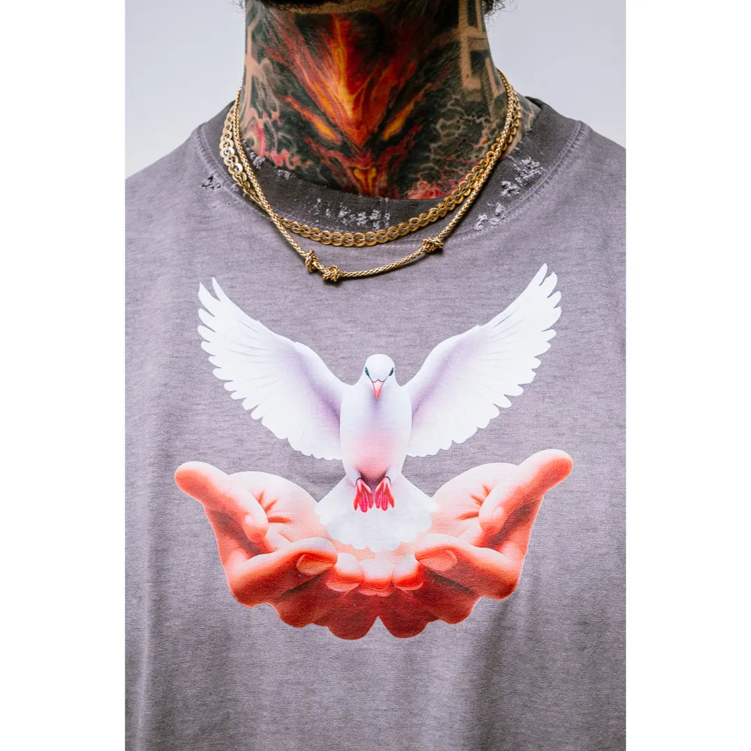 i!p-IP-by-Paris-Vintage-Oversized-Distressed-Tee-Flying-Dove-Grey