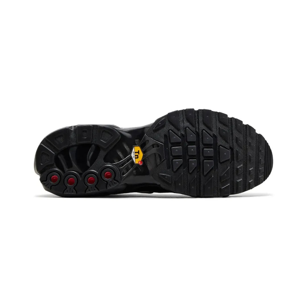 Nike Air Max Plus TN ”Black Chrome Silver”
